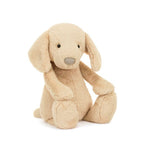 45aa2242c84accba97b8030ef198953f