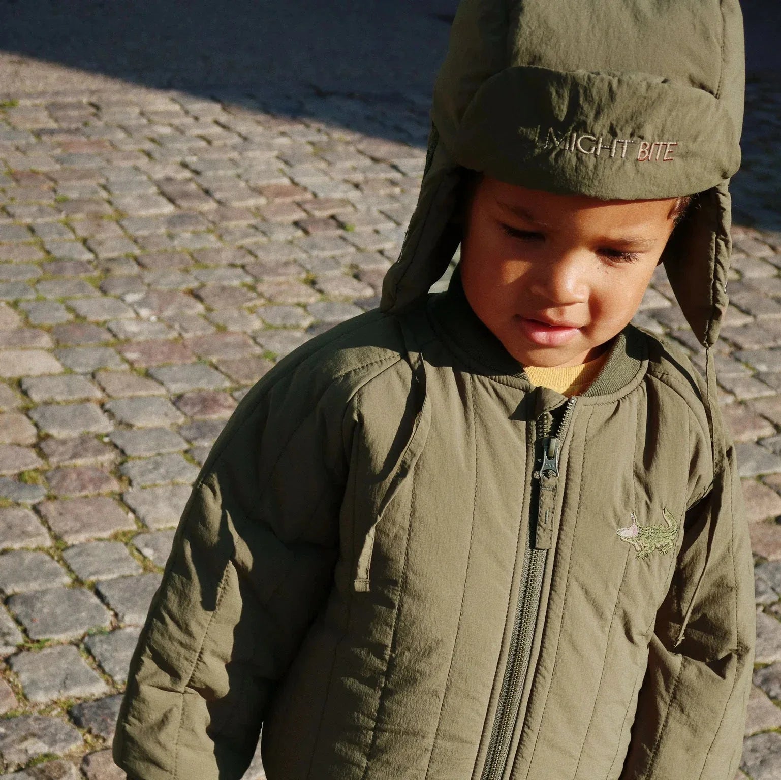 4085988bb568df6a0cf09527cbb2ec16