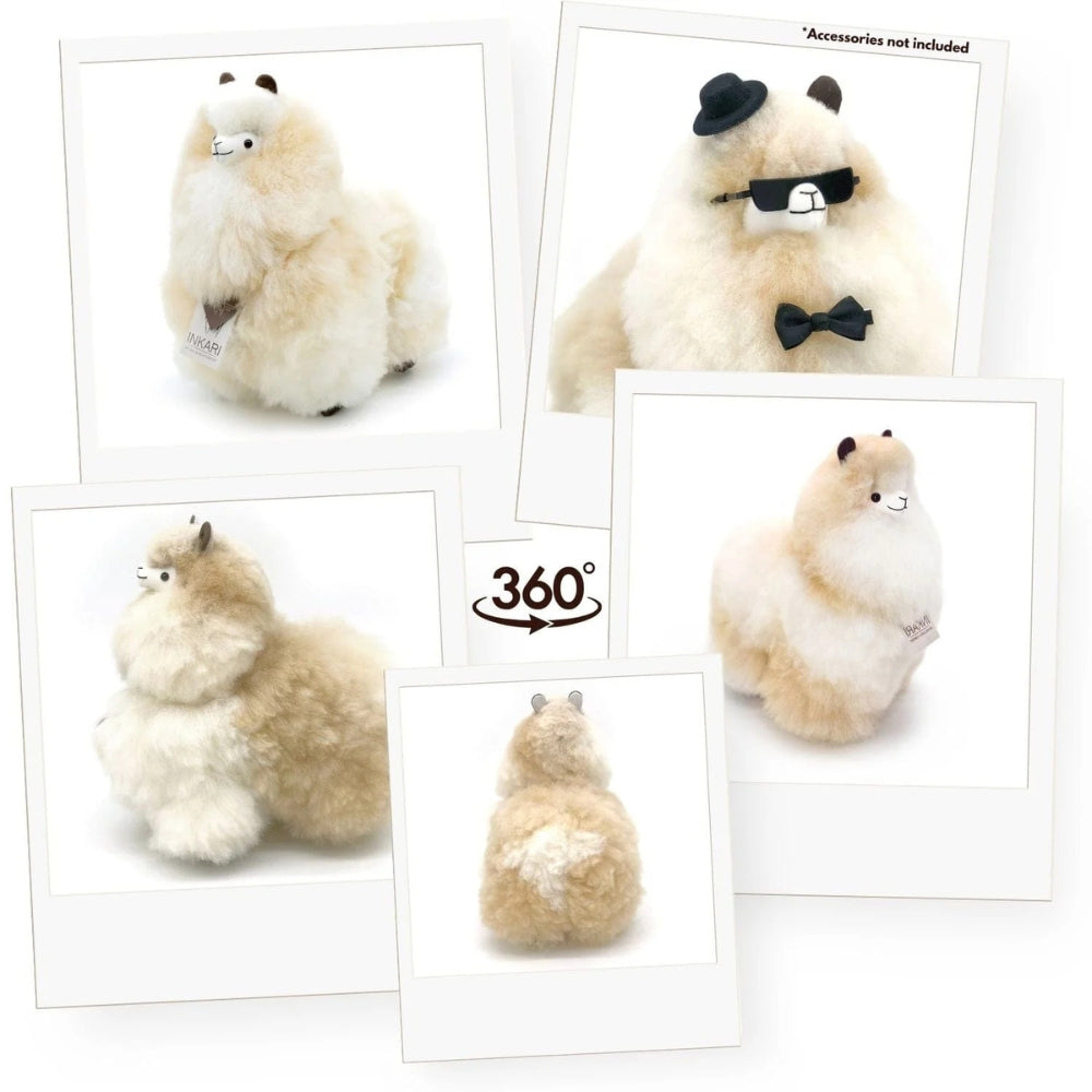 ff0326c1c448bc591e4a926d85c9d72f