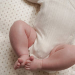 c1fa493830756ecb9d0538a441881099