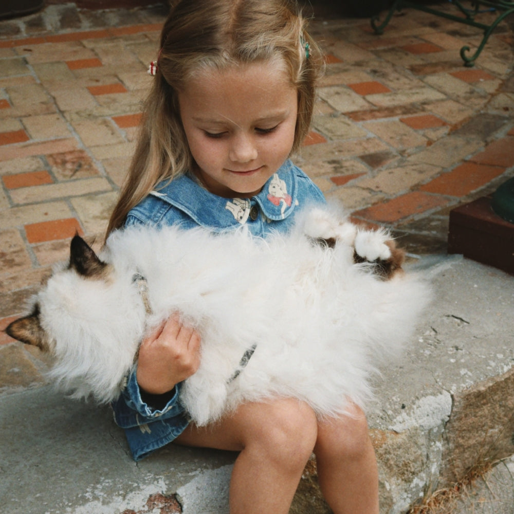 8e1501d4b99260a6751d6a4cbf492d4c