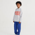 1630e801b9c693724d21e2c9fbd8083c