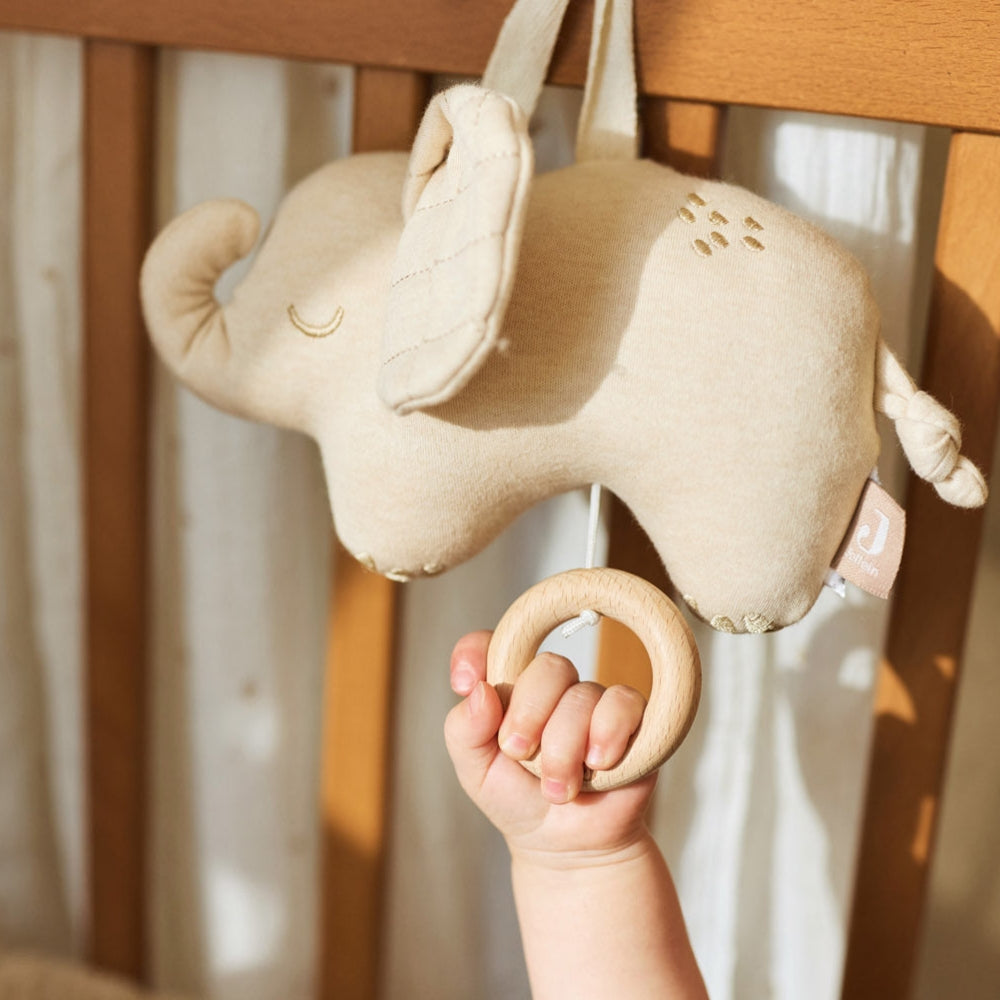 eeac17c4854c7a1cdc93aff794d01a82