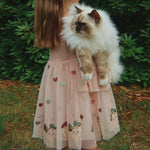 ac578f46ed7c61d5eabf1c0446eb06e7