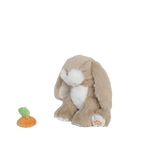 Diakép