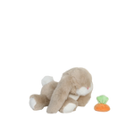 Diakép