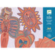 Djeco Scratch-offs gyerekeknek Angyalok