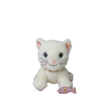 Diakép