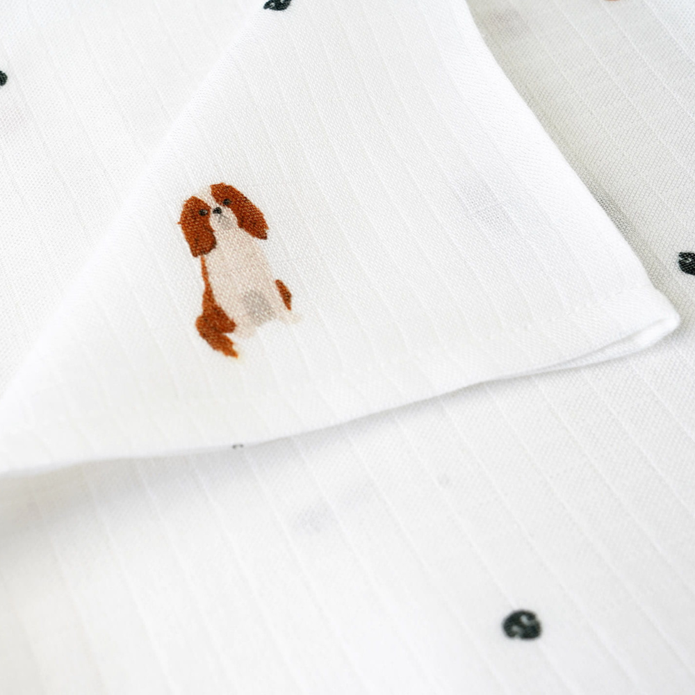 4799c0221a84f8ab8408a10005796df4