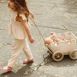 21ca24600fd684f020430715d1aa4550