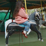 Diakép